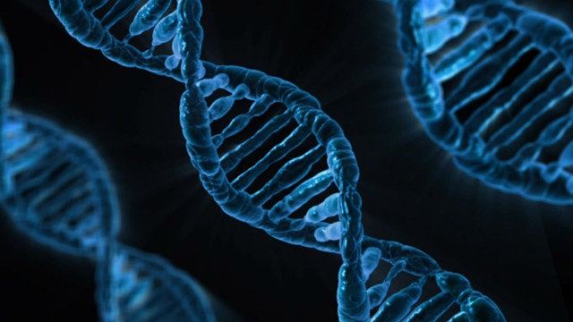 「ゲノム編集」と「遺伝子組み換え」、何が違うのか？：ゲノム編集の衝撃