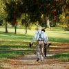 生活保護受給世帯数が過去最高を更新。若いうちから対策しないと老後が悲惨。今何をすべきか？