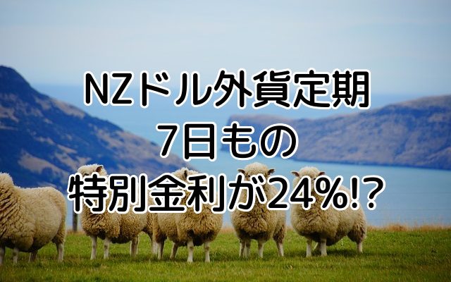 楽天銀行、NZドル外貨定期預金7日もの特別金利24%ってお得？！外貨預金手数料を考慮した利益はいくら？