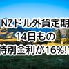 楽天銀行、NZドル外貨定期預金14日もの特別金利16%ってお得？！外貨預金手数料を考慮した利益はいくら？