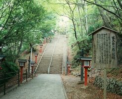 高尾山ハイキング♪桜咲く高尾山で登山・ケーブルカー・リフト・自然を満喫