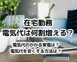 在宅勤務で増える電気代。何割増えるか、我が家11か月分の電気使用量を公開。電気代を安くする方法は？