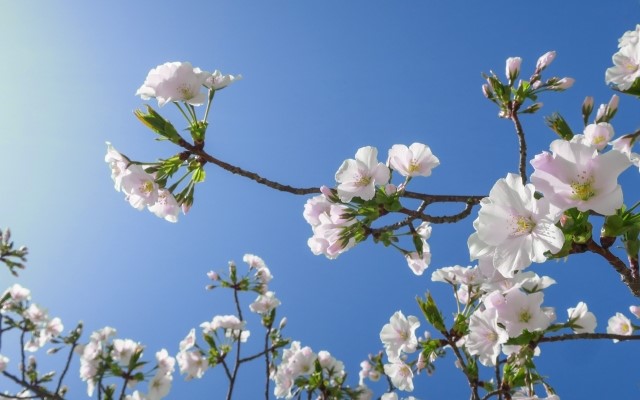 2022年の「節分」「彼岸」はいつなのか