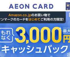 イオンカード、Amazon利用で最大3000円還元（還元率15%）Amazonブラックフライデー利用で＋0.5%還元も。その他併用可能キャンペーンも凄い