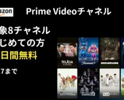 【8/27まで】Amazon Prime Video 8チャンネル はじめての方無料！※映画・アニメ・韓流 など