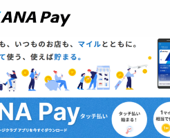 ANA Payを活用して、ポイント4重取りで3.7%還元。お得な利用法