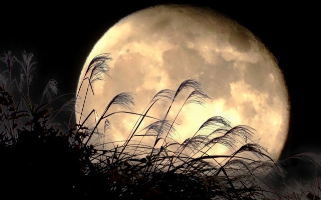 今夜9月29日は 満月の「中秋の名月」。 次に満月と重なるのは2023年。満月✕スパ✕サウナの力で心身浄化＆露天風呂で美しい月を堪能しよう