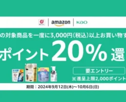 Amazonで花王 Kao の洗剤など各種商品購入でdポイント20%還元（10/6まで） 上限2000ポイント