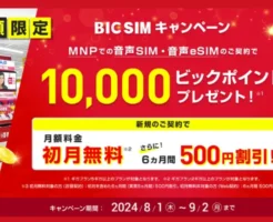 ビックカメラ、BIC SIM契約で10000円相当還元（9/2まで、店頭申込限定） ビックポイント払いで通信費9か月無料。設定方法・注意点