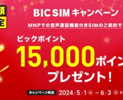 ビックカメラ、MNPでBIC SIM契約で15000円相当還元、最大13カ月通信費が無料に ※店頭申込限定
