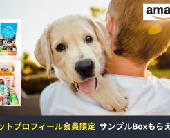 Amazon ペットプロフィール会員限定で「犬用・猫用 サンプルBox」が無料。数量限定でなくなり次第終了（4/30まで）