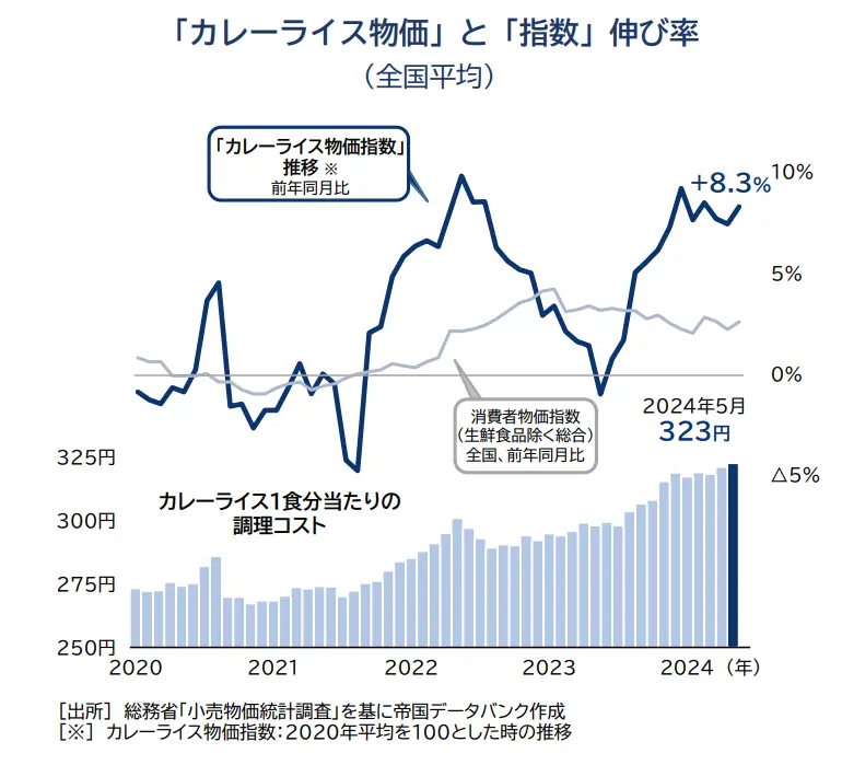 カレーライス物価指数 上昇