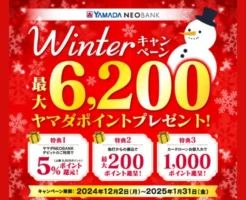 ヤマダNEOBANK、5%還元で最大5000円相当もらえる！ANA Payチャージで条件達成！他行被振込で最大200ptも（1/31まで）