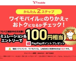 【先着】100円相当のPayPayポイントがもらえる！ワイモバイル のスマホに関する簡単アンケートに答えるだけで！