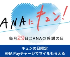 【10/29限定】ANA Payにマイルチャージで最大5％還元、ANAクレカチャージで2％、その他チャージで0.1％が上乗せ。ANAキュンの日特典