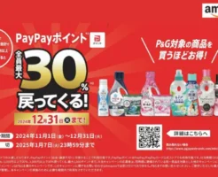 P&G購入でPayPayポイント最大30％戻ってくるキャンペーン。Amazonで購入する場合は？（12/31まで）