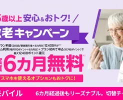 【65歳以上限定】楽天モバイルが “半年間無料”に！データ20GB以下なら15分かけ放題付きで実質6カ月無料で使える大チャンス「敬老キャンペーン」