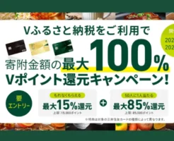 Vふるさと納税 スタートキャンペーン！最大15%+抽選85%→最大100%ポイント還元のチャンス（7/31まで）