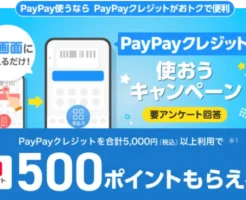 【9/29まで】PayPayクレジット、5,000円以上の利用で500ポイントもらえる！最大10%還元！