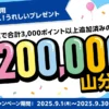 【Vポイント運用】20万ポイント山分け!9月限定キャンペーン。自動エントリーなので手間なし(9/30まで)