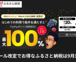 【Yahoo!ふるさと納税】9月最大100%還元キャンペーン！ プレミアム会員は日曜日は還元率上乗せ →最大27%還元（抽選なしで）