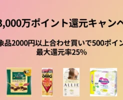 【10/31まで】最大還元率25%、対象品2000円以上同時購入で500 Amazonポイント還元《最大3,000万ポイント還元キャンペーン》