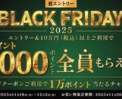 【三井住友カードブラックフライデー2025】カード決済で1000 Vポイント還元（12/3まで：8日間限定） 私はどう利用する？—あのキャンペーンと併用！
