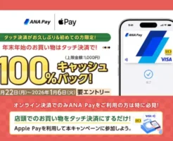 【1/6まで】年末年始はANA Pay×Apple Payのタッチ決済がお得!最大100%キャッシュバック【上限1,000円】