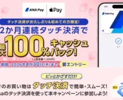 【4/30までにエントリー】《最大100%還元》ANA Payタッチ決済キャンペーン｜2か月使うだけで全額キャッシュバック