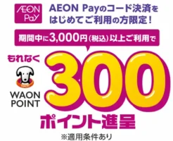 【6/30まで】AEON Payを初めて使うだけで300ポイント!3,000円利用でもれなくWAON POINTがもらえる